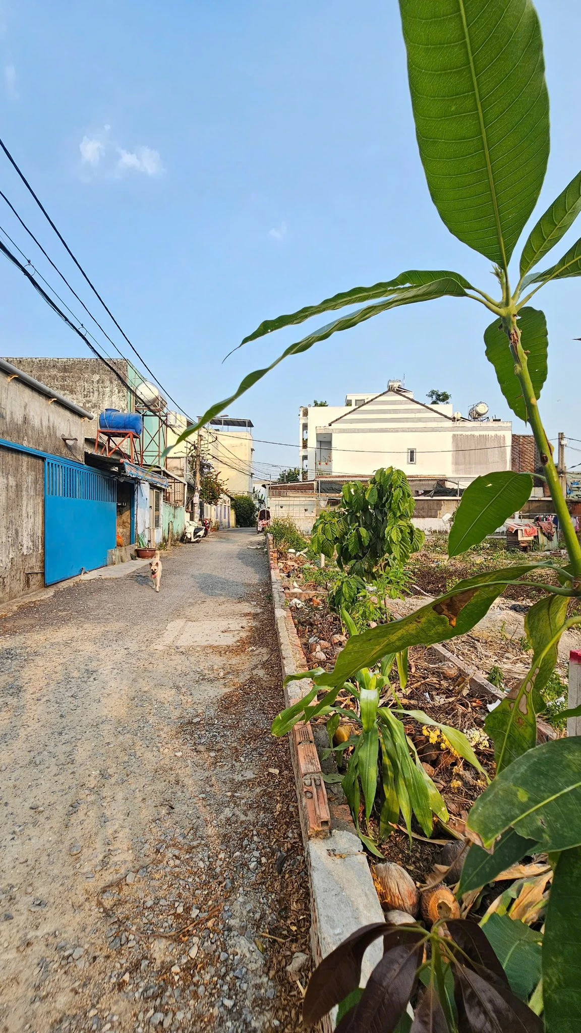 Bán Đất nền mặt tiền 4,55 Tỷ, 100m², có Khu vui chơi tại Xã Hóc Môn